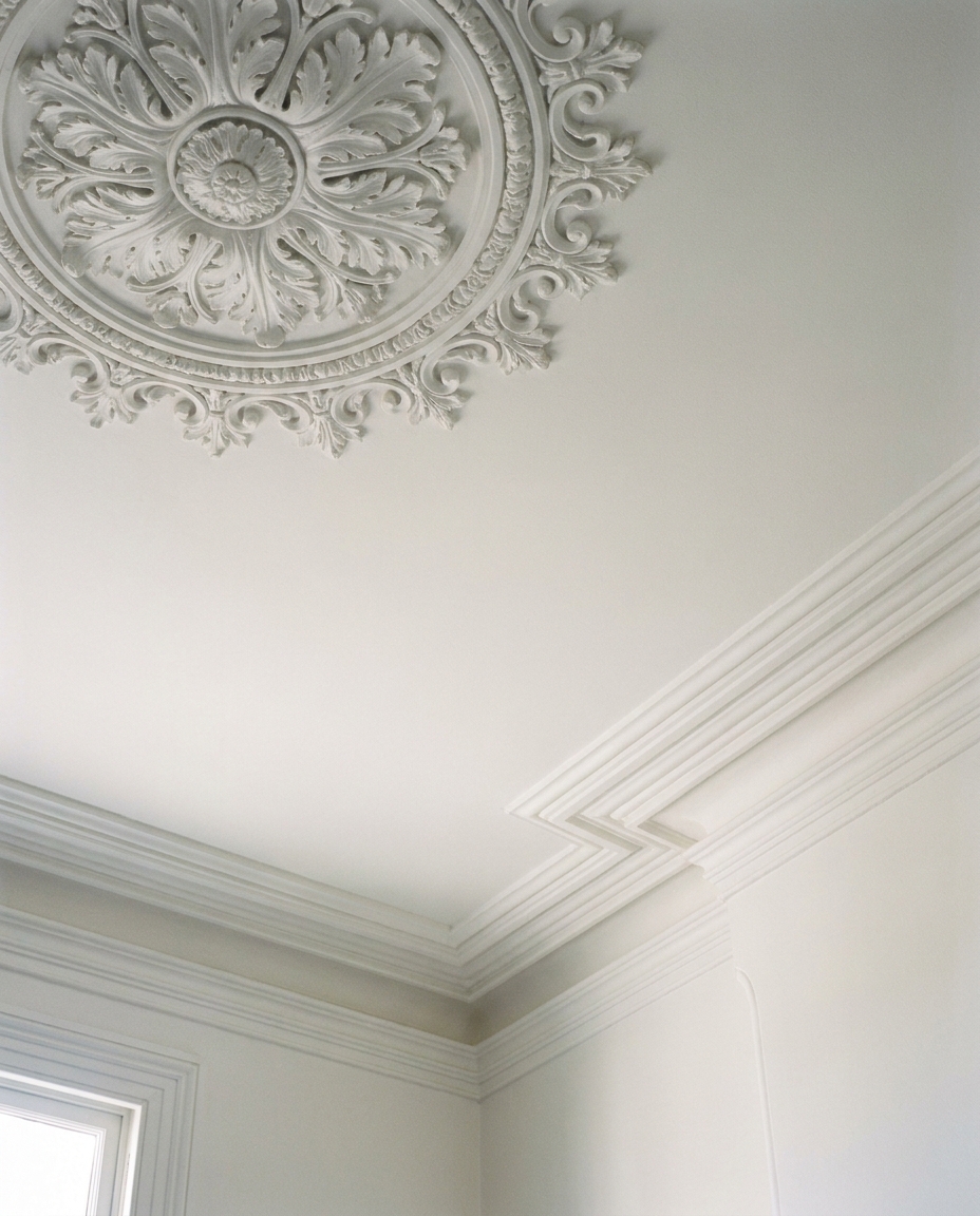 Restored ornate plaster ceiling rose and cornice, freshly painted matte white, raking light